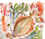 Fruits de mer