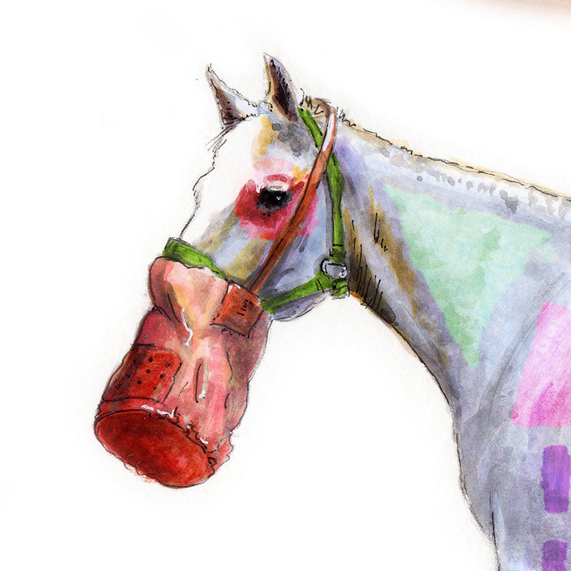 Amuesli + Circus Horse