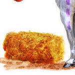 Amuesli + Circus Horse