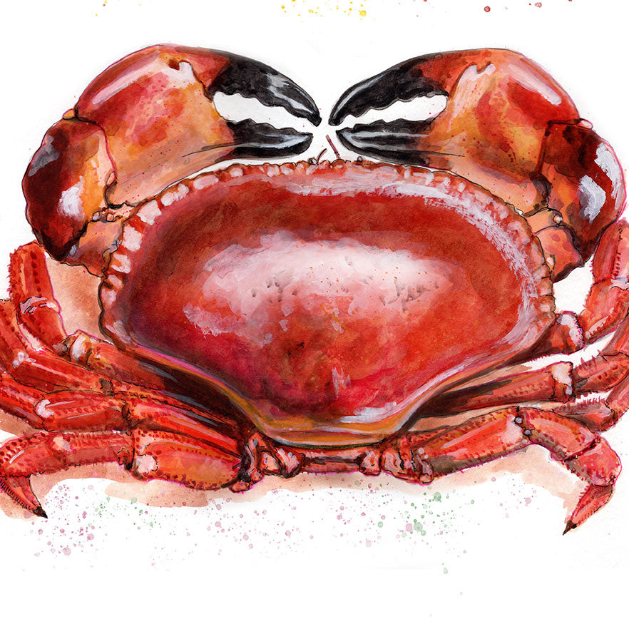 Crab Cakes