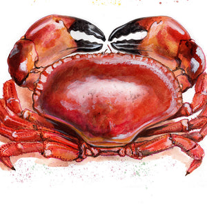 Crab Cakes