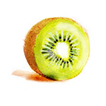 Kiwi Fruit