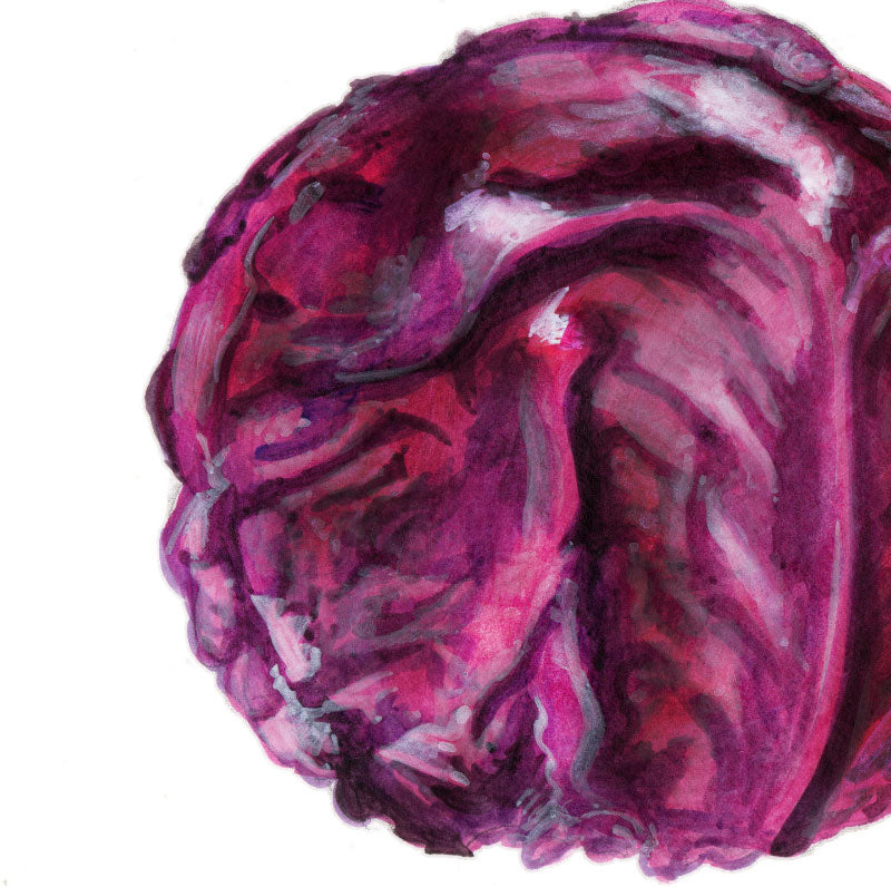 Sour Kraut